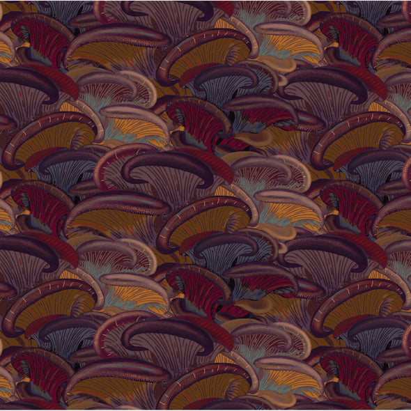 Apex Hat | Oysterous